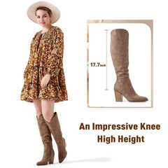 Brown Suede Pointed Toe Knee High Boots