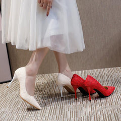 Lace Mesh Pointy Pumps For Small Feet JLXY17