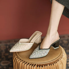 Women's Fairy Thick Pointed High Fashion Heels