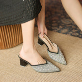 Women's Fairy Thick Pointed High Fashion Heels