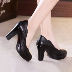 Petite Chunky Heel Pump Shoes AP97