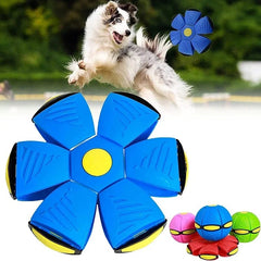 PawsOrbit Interactive Flying Saucer Ball Dog Toy