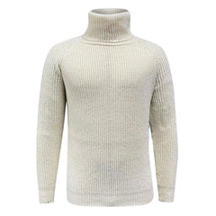 Cozy Turtleneck Raglan Sleeve Chunky Brioche Knit Men Winter Sweater