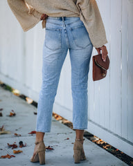 Dani Distressed High Rise Denim