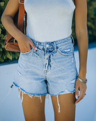 Hudson High Rise Distressed Denim Shorts