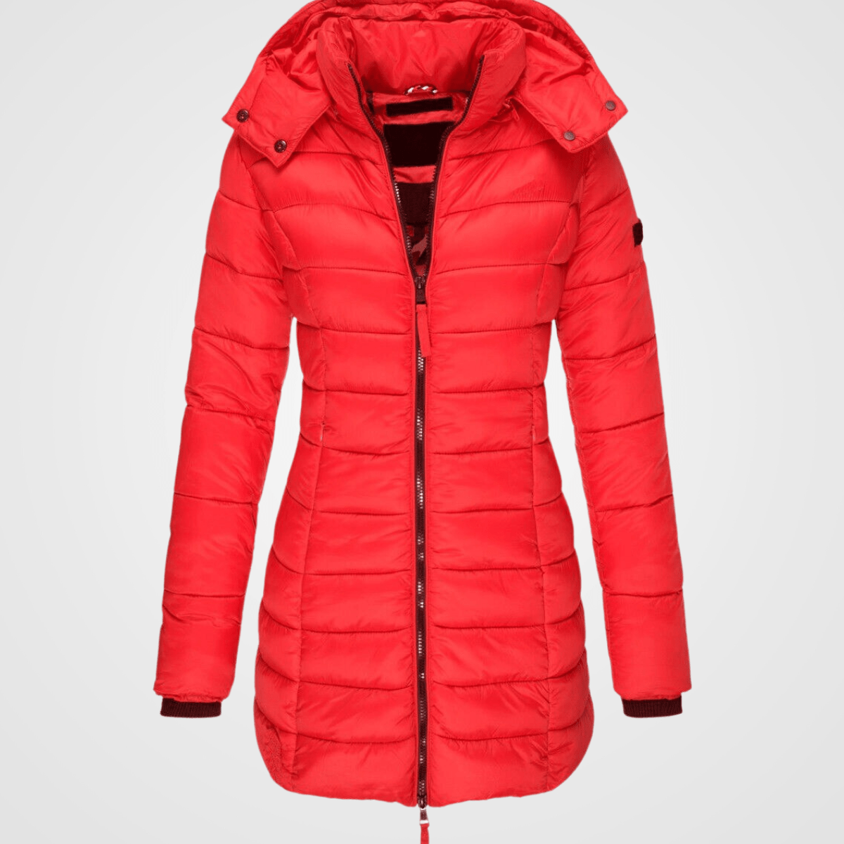 Winter jacket for ladies