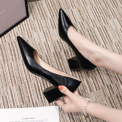 Petite Pointy Chunky Heel Shoes GS17