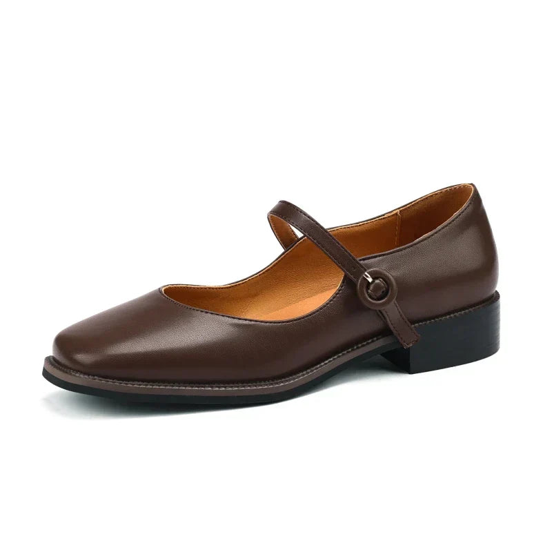 Casual Women's Low Heels Mary Jane Shoes Fashion Comfortable Straps Black Brown Walking Party Loafers Shoes Ladies 2024 Spring