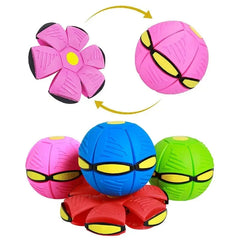 PawsOrbit Interactive Flying Saucer Ball Dog Toy