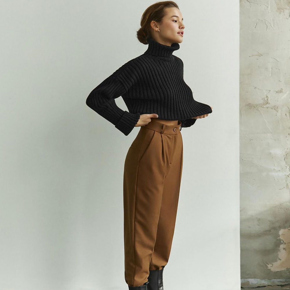 Oversized Solid Color Turtleneck Drop Shoulder Cropped Sweater