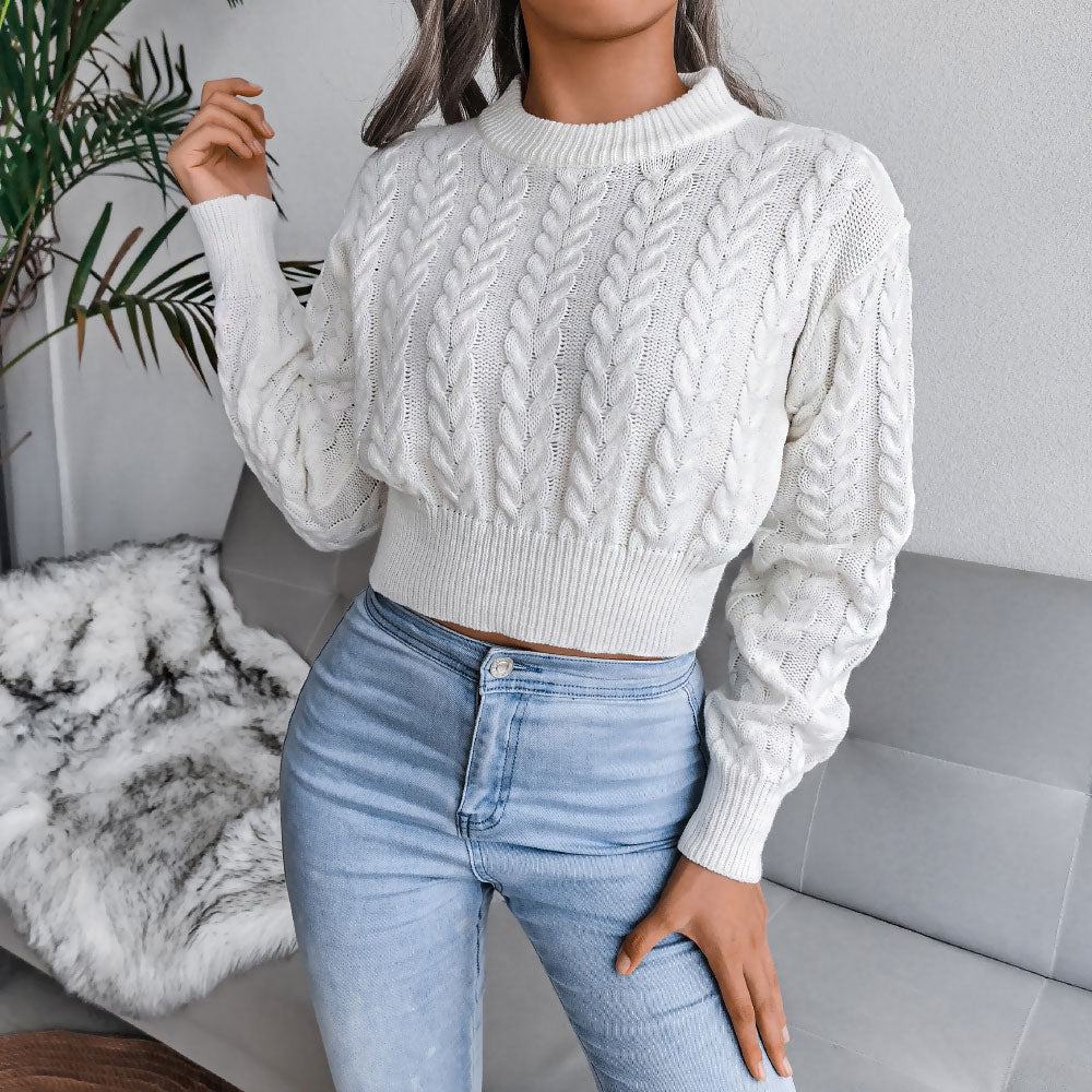 Street Style Crew Neck Long Sleeve Pullvoer Cable Knit Sweater